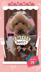 HAPPY BIRTHDAY!