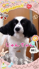 HAPPY BIRTHDAY!