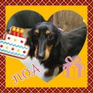 HAPPY BIRTHDAY!