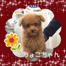 可愛すぎる~~♪