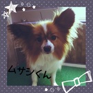きりっ☆とした顔つき♪