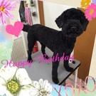 HAPPY BIRTHDAY!
