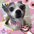 HAPPY BIRTHDAY!