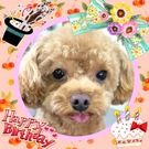 HAPPY BIRTHDAY!