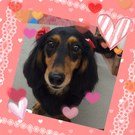 初めての全身カット♪