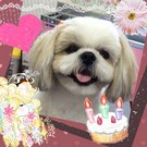HAPPY BIRTHDAY!