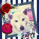 HAPPY BIRTHDAY!