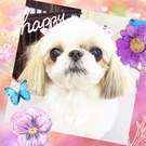 HAPPY BIRTHDAY!
