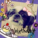 HAPPY BIRTHDAY!