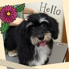 とってもキュート♪