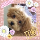 おてんばちゃん?!