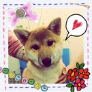 頑張りました!
