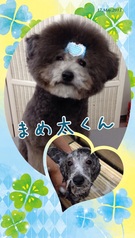 まん丸カット♪