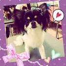 アロマ全身マッサージ♪