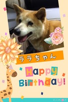 HAPPY BIRTHDAY!