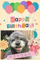 HAPPY BIRTHDAY!