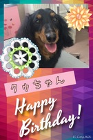 HAPPY BIRTHDAY!