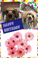 HAPPY BIRTHDAY!