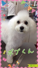 ワイルドなイケメン♪