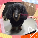 HAPPY BIRTHDAY!