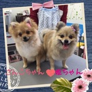 お母さんと一緒に♪