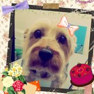 HAPPY BIRTHDAY!