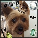 HAPPY BIRTHDAY!