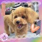 元気ハツラツ!