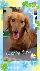 大人気♪