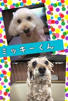 HAPPY BIRTHDAY!