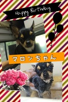 HAPPY BIRTHDAY!