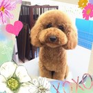 ブーツカット目指して♪