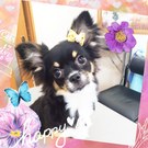 ローズパックで女子力UP!!