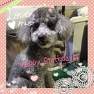 HAPPY BIRTHDAY!