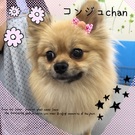ドキドキ・・・
