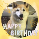 HAPPY BIRTHDAY!