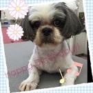 HAPPY BIRTHDAY!