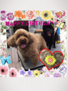 HAPPY BIRTHDAY!