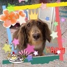 HAPPY BIRTHDAY!