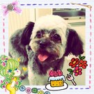 HAPPY BIRTHDAY!