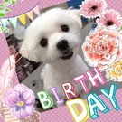 HAPPY BIRTHDAY!