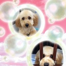 可愛く変身♪