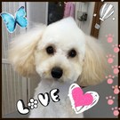 キュンキュン♡