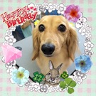 HAPPY BIRTHDAY!
