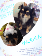 HAPPY　BIRTHDAY！