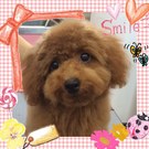優しいパパが大好き♡