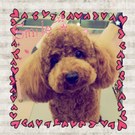 ふんわりキュート♡