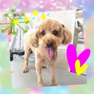 愛情いっぱい♡幸せいっぱい♪
