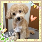 人懐っこい♪