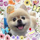 HAPPY　BIRTHDAY！